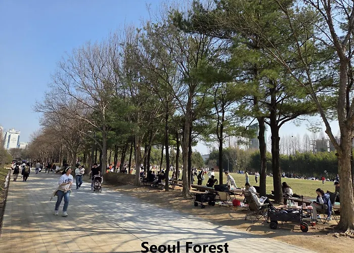 Yellow Wood Vibe, Kondae Seoul, 2 Min Walk From The Kondae Station, Seongsu & Common Ground Appartamento *