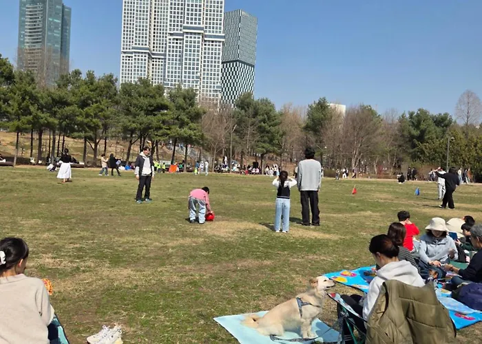 Yellow Wood Vibe, Kondae Seoul, 2 Min Walk From The Kondae Station, Seongsu & Common Ground Seul